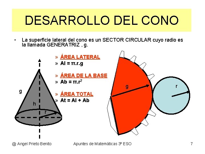 DESARROLLO DEL CONO • La superficie lateral del cono es un SECTOR CIRCULAR cuyo