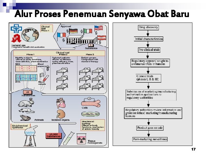 Alur Proses Penemuan Senyawa Obat Baru 17 