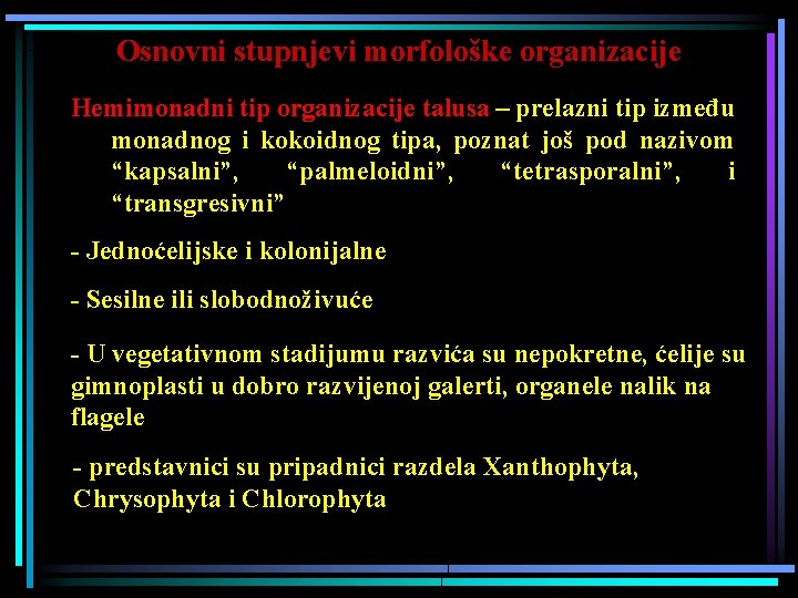 Osnovni stupnjevi morfološke organizacije Hemimonadni tip organizacije talusa – prelazni tip između monadnog i