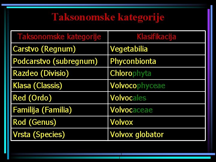 Taksonomske kategorije Klasifikacija Carstvo (Regnum) Vegetabilia Podcarstvo (subregnum) Phyconbionta Razdeo (Divisio) Chlorophyta Klasa (Classis)