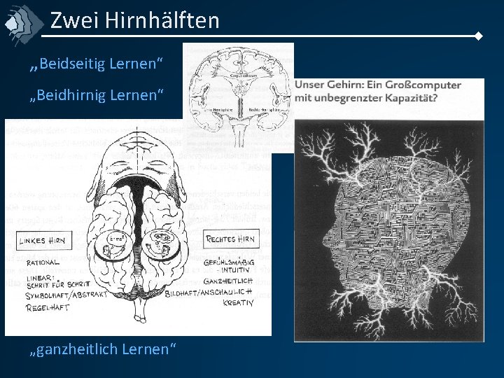 Zwei Hirnhälften „Beidseitig Lernen“ „Beidhirnig Lernen“ „ganzheitlich Lernen“ 