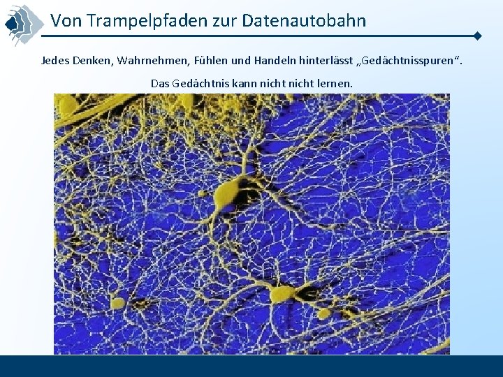 Von Trampelpfaden zur Datenautobahn Jedes Denken, Wahrnehmen, Fühlen und Handeln hinterlässt „Gedächtnisspuren“. Das Gedächtnis