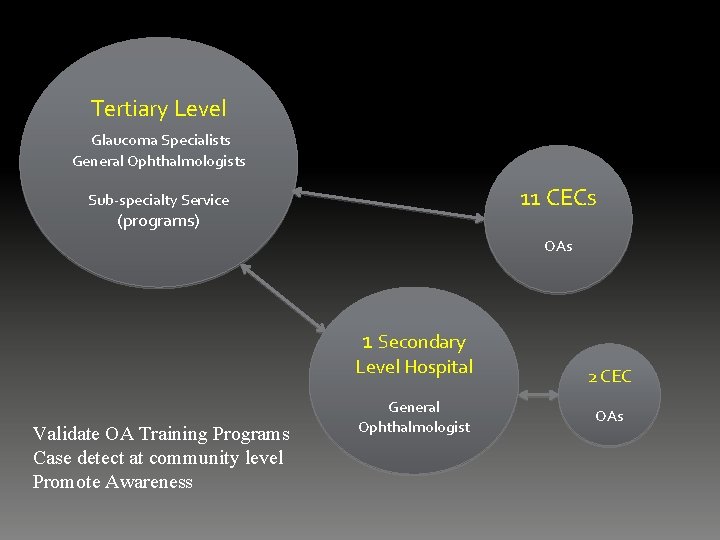 Tertiary Level Glaucoma Specialists General Ophthalmologists 11 CECs Sub-specialty Service (programs) OAs 1 Secondary