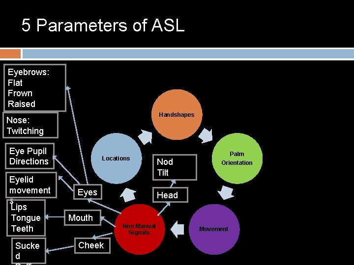 5 Parameters of ASL Eyebrows: Flat Frown Raised Handshapes Nose: Twitching Eye Pupil Directions