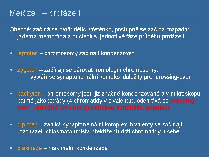 Meióza I – profáze I Obecně: začíná se tvořit dělící vřeténko, postupně se začíná