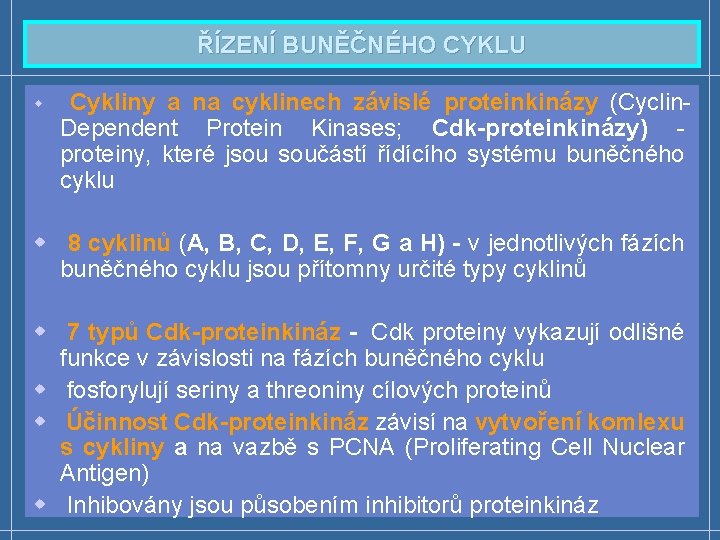 ŘÍZENÍ BUNĚČNÉHO CYKLU w Cykliny a na cyklinech závislé proteinkinázy (Cyclin- Dependent Protein Kinases;
