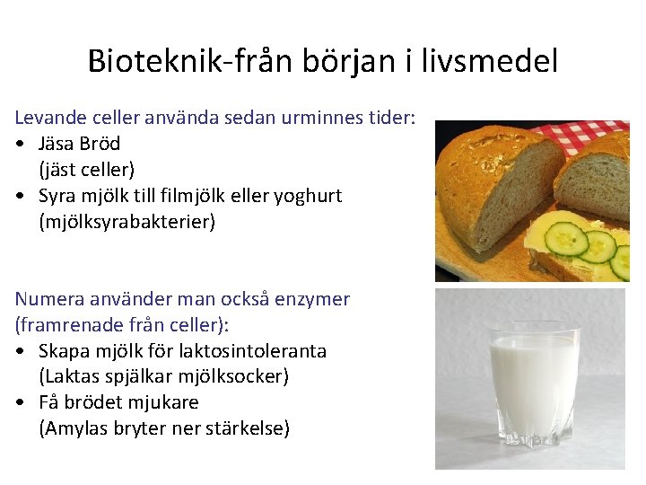 Bioteknik-från början i livsmedel Levande celler använda sedan urminnes tider: • Jäsa Bröd (jäst