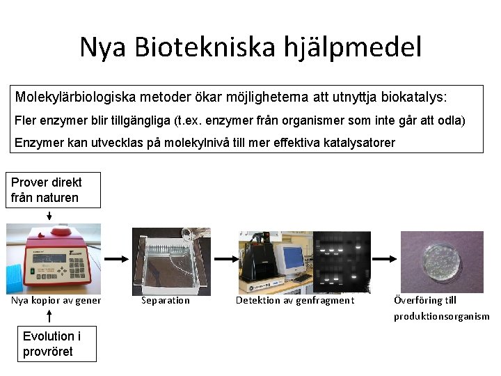 Nya Biotekniska hjälpmedel Molekylärbiologiska metoder ökar möjligheterna att utnyttja biokatalys: Fler enzymer blir tillgängliga