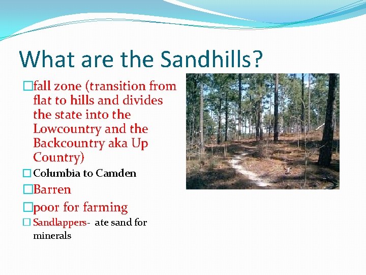 What are the Sandhills? �fall zone (transition from flat to hills and divides the