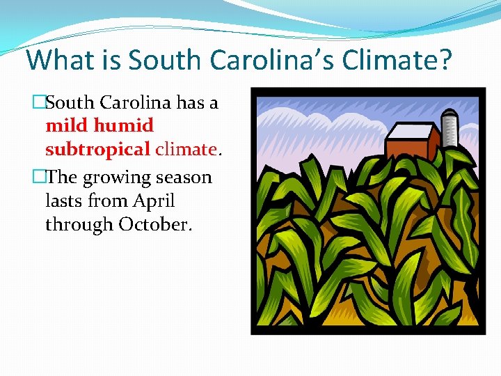 What is South Carolina’s Climate? �South Carolina has a mild humid subtropical climate. �The