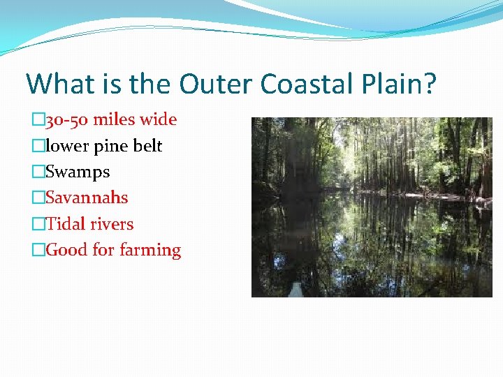 What is the Outer Coastal Plain? � 30 -50 miles wide �lower pine belt