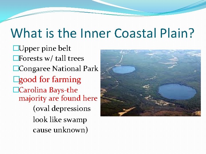 What is the Inner Coastal Plain? �Upper pine belt �Forests w/ tall trees �Congaree
