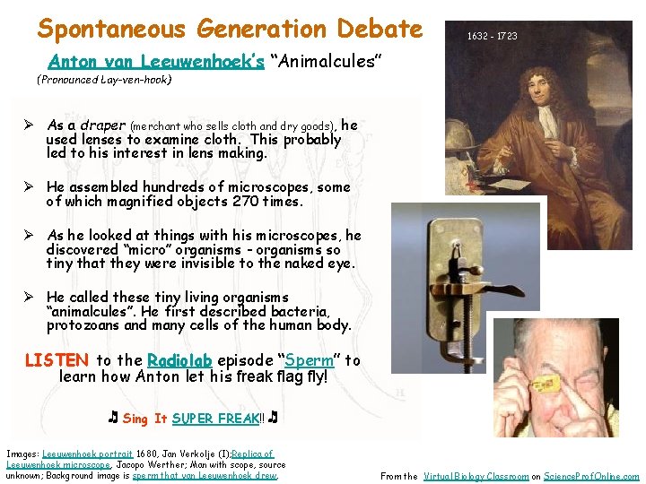 Spontaneous Generation Debate 1632 - 1723 Anton van Leeuwenhoek’s “Animalcules” (Pronounced Lay-ven-hook) Ø As