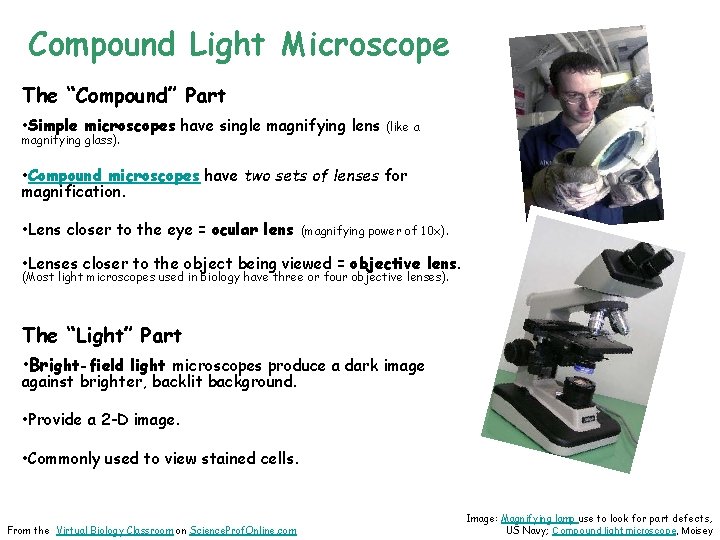 Compound Light Microscope The “Compound” Part • Simple microscopes have single magnifying lens (like