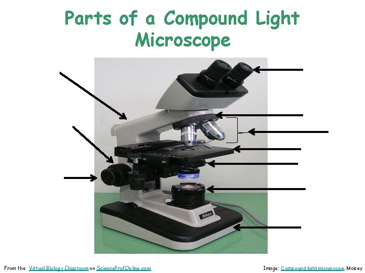 Parts of a Compound Light Microscope From the Virtual Biology Classroom on Science. Prof.