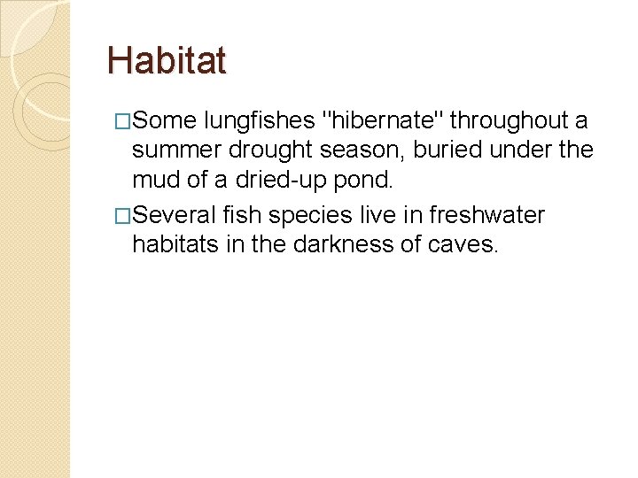 Habitat �Some lungfishes "hibernate" throughout a summer drought season, buried under the mud of