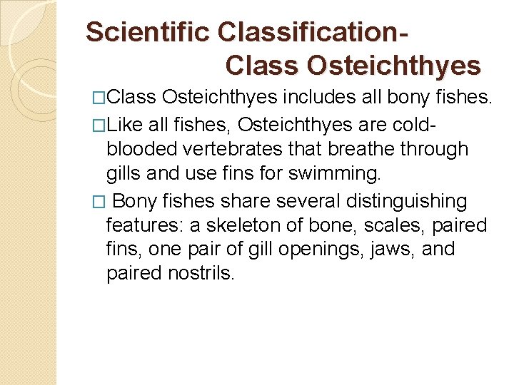 Scientific Classification. Class Osteichthyes �Class Osteichthyes includes all bony fishes. �Like all fishes, Osteichthyes