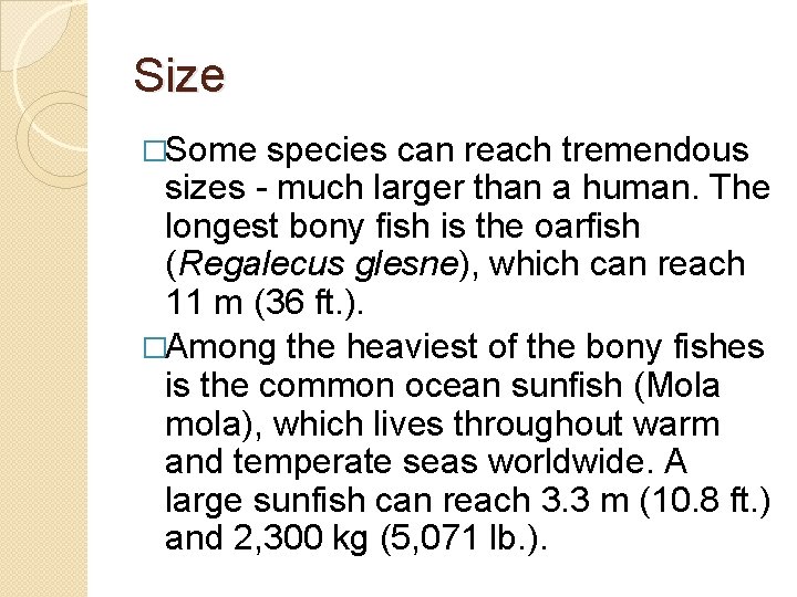 Size �Some species can reach tremendous sizes - much larger than a human. The