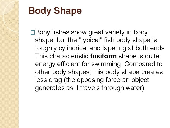 Body Shape �Bony fishes show great variety in body shape, but the "typical" fish