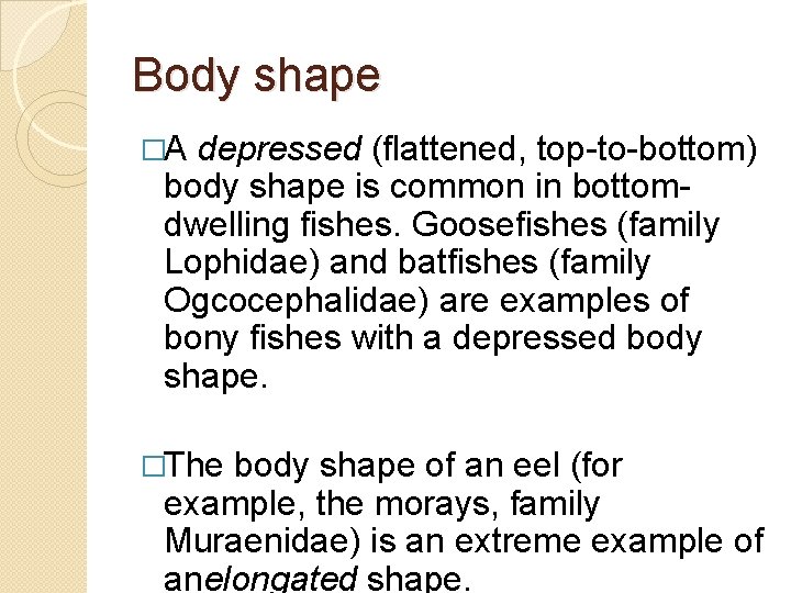 Body shape �A depressed (flattened, top-to-bottom) body shape is common in bottomdwelling fishes. Goosefishes