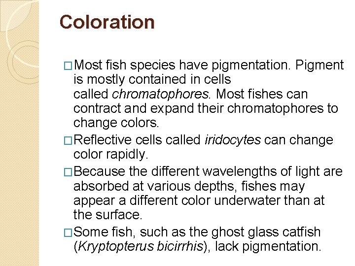 Coloration �Most fish species have pigmentation. Pigment is mostly contained in cells called chromatophores.