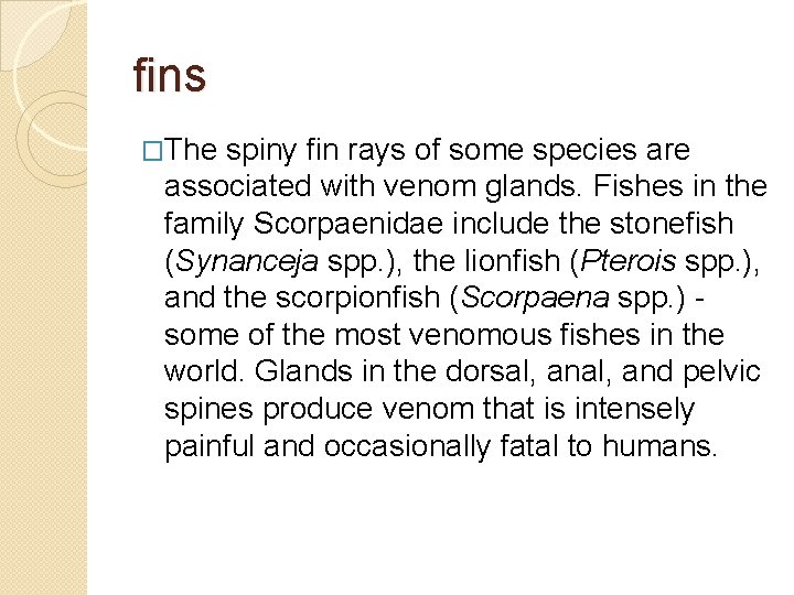 fins �The spiny fin rays of some species are associated with venom glands. Fishes