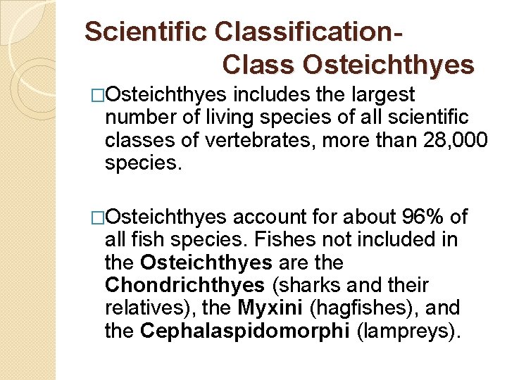 Scientific Classification. Class Osteichthyes �Osteichthyes includes the largest number of living species of all