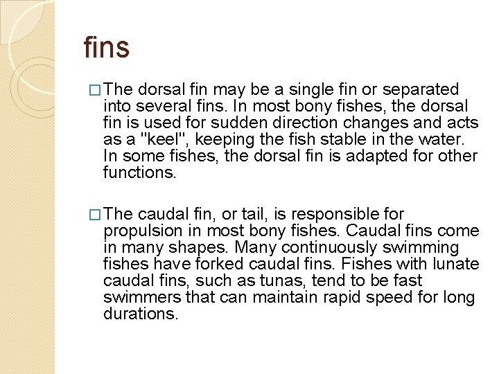 fins � The dorsal fin may be a single fin or separated into several