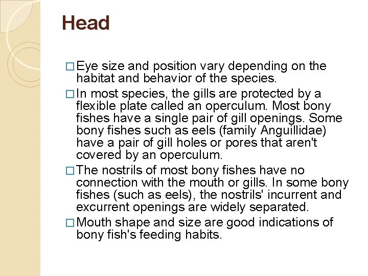 Head � Eye size and position vary depending on the habitat and behavior of