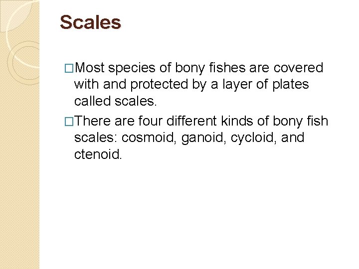 Scales �Most species of bony fishes are covered with and protected by a layer