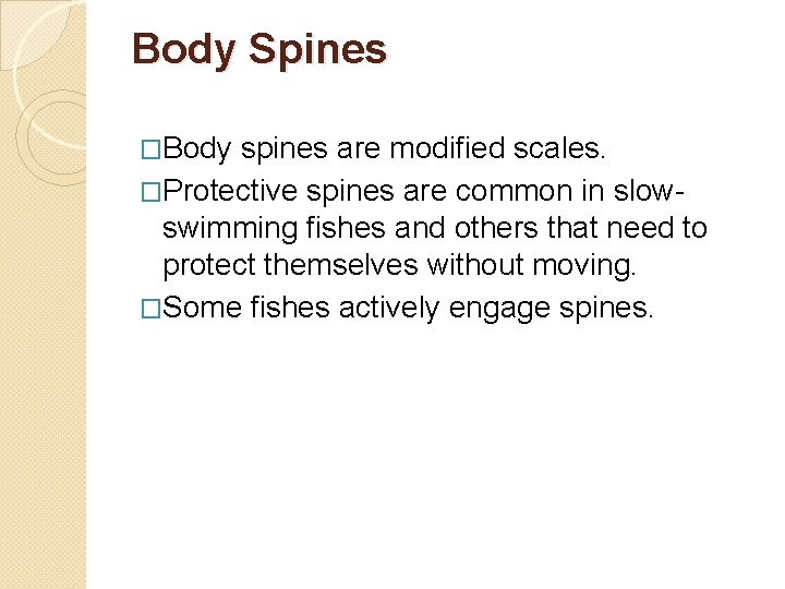 Body Spines �Body spines are modified scales. �Protective spines are common in slow- swimming