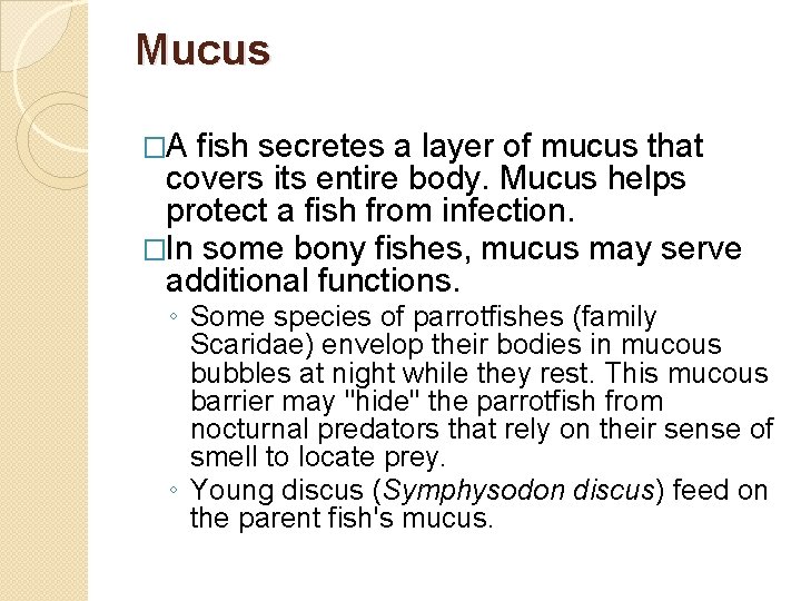 Mucus �A fish secretes a layer of mucus that covers its entire body. Mucus