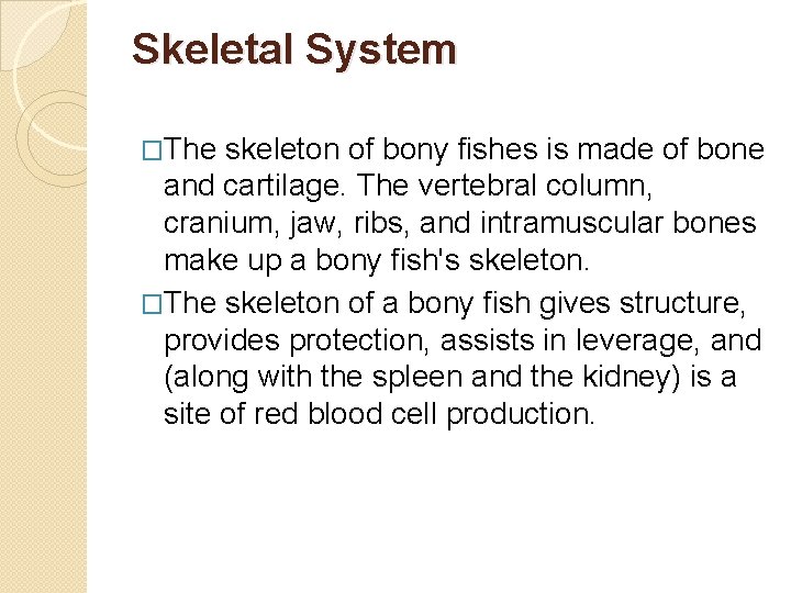 Skeletal System �The skeleton of bony fishes is made of bone and cartilage. The