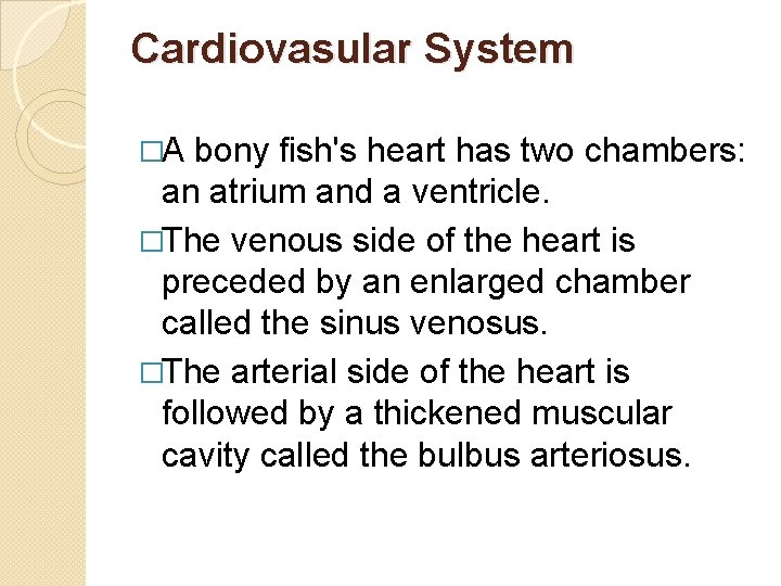 Cardiovasular System �A bony fish's heart has two chambers: an atrium and a ventricle.