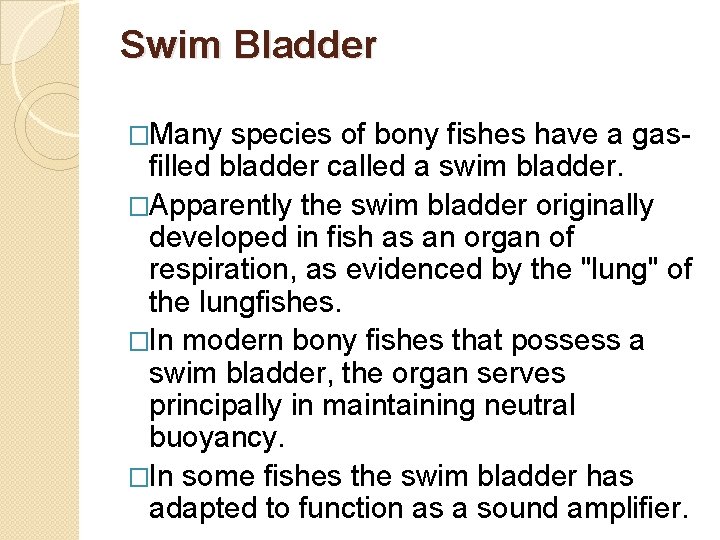 Swim Bladder �Many species of bony fishes have a gas- filled bladder called a