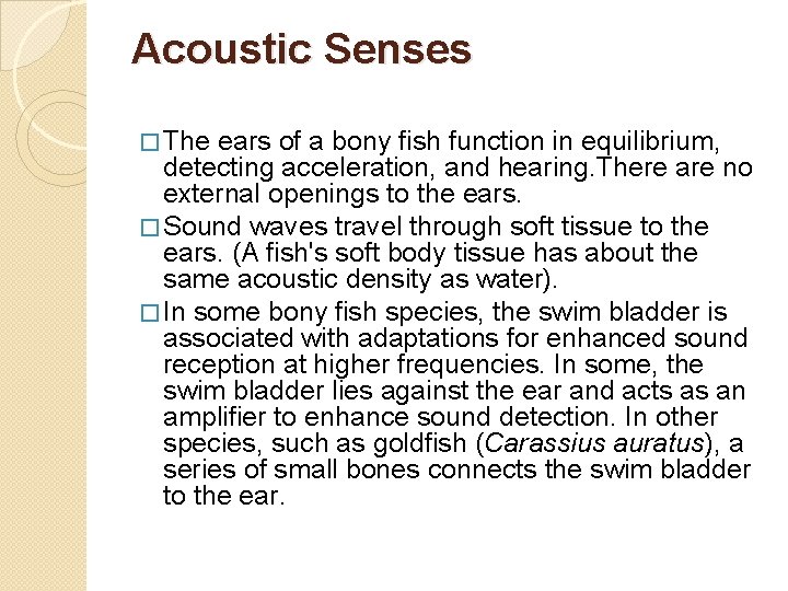 Acoustic Senses � The ears of a bony fish function in equilibrium, detecting acceleration,