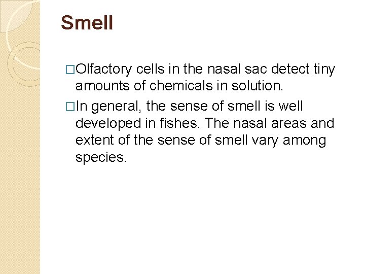 Smell �Olfactory cells in the nasal sac detect tiny amounts of chemicals in solution.