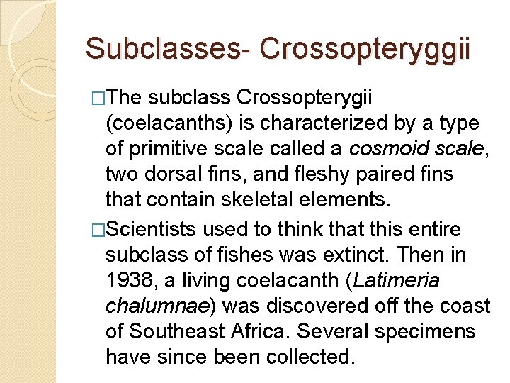 Subclasses- Crossopteryggii �The subclass Crossopterygii (coelacanths) is characterized by a type of primitive scale