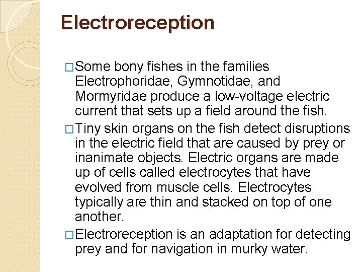 Electroreception �Some bony fishes in the families Electrophoridae, Gymnotidae, and Mormyridae produce a low-voltage