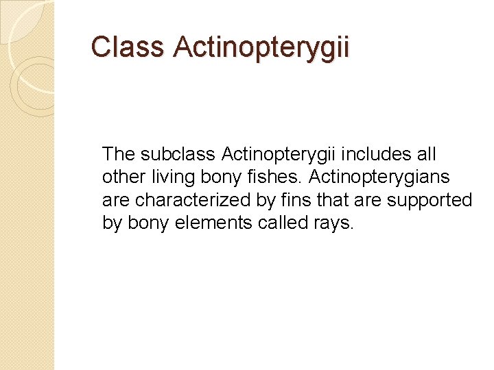  Class Actinopterygii The subclass Actinopterygii includes all other living bony fishes. Actinopterygians are