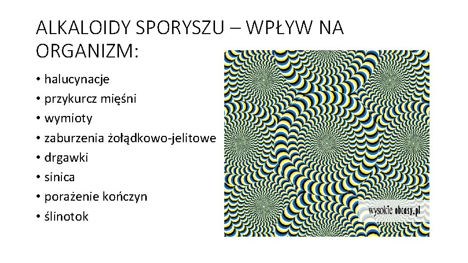 ALKALOIDY SPORYSZU – WPŁYW NA ORGANIZM: • halucynacje • przykurcz mięśni • wymioty •