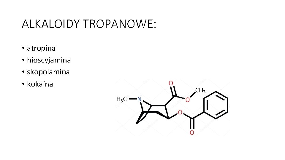 ALKALOIDY TROPANOWE: • atropina • hioscyjamina • skopolamina • kokaina 