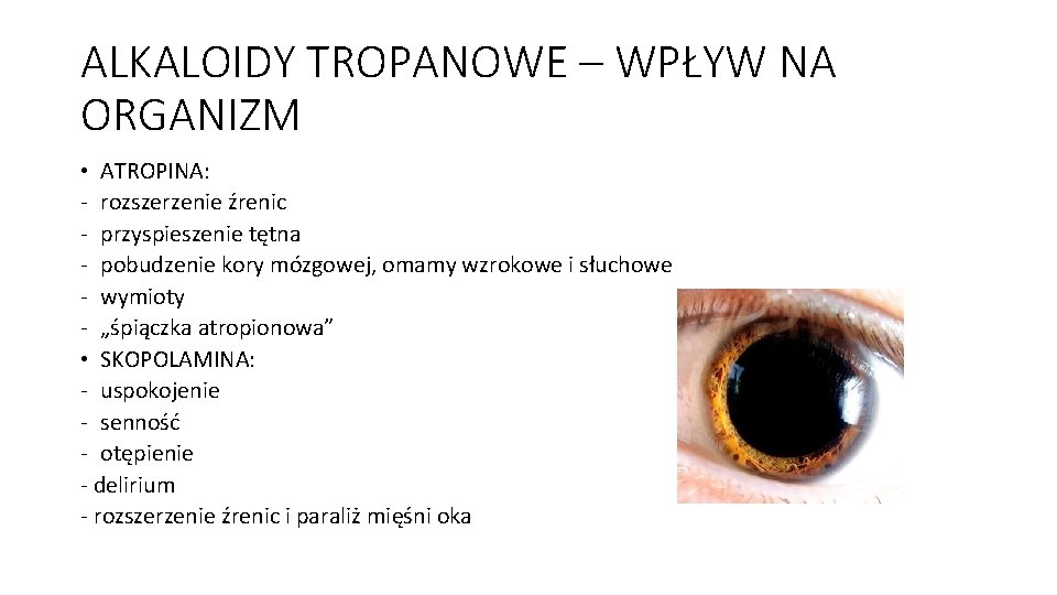 ALKALOIDY TROPANOWE – WPŁYW NA ORGANIZM • ATROPINA: - rozszerzenie źrenic - przyspieszenie tętna