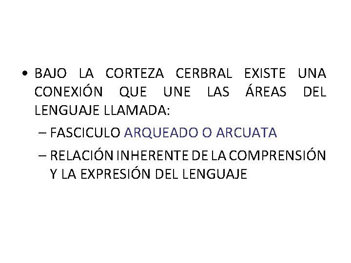  • BAJO LA CORTEZA CERBRAL EXISTE UNA CONEXIÓN QUE UNE LAS ÁREAS DEL