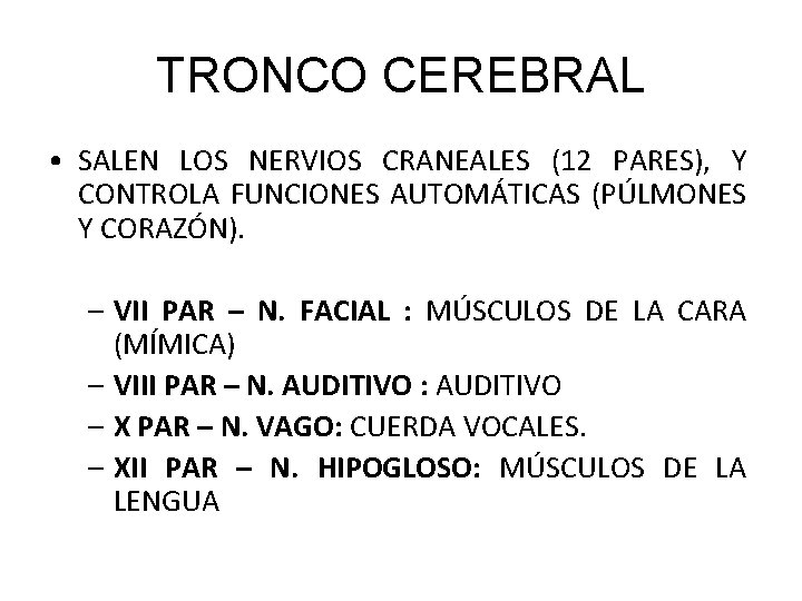 TRONCO CEREBRAL • SALEN LOS NERVIOS CRANEALES (12 PARES), Y CONTROLA FUNCIONES AUTOMÁTICAS (PÚLMONES