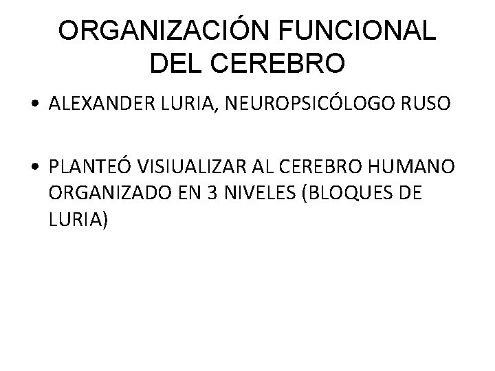 ORGANIZACIÓN FUNCIONAL DEL CEREBRO • ALEXANDER LURIA, NEUROPSICÓLOGO RUSO • PLANTEÓ VISIUALIZAR AL CEREBRO