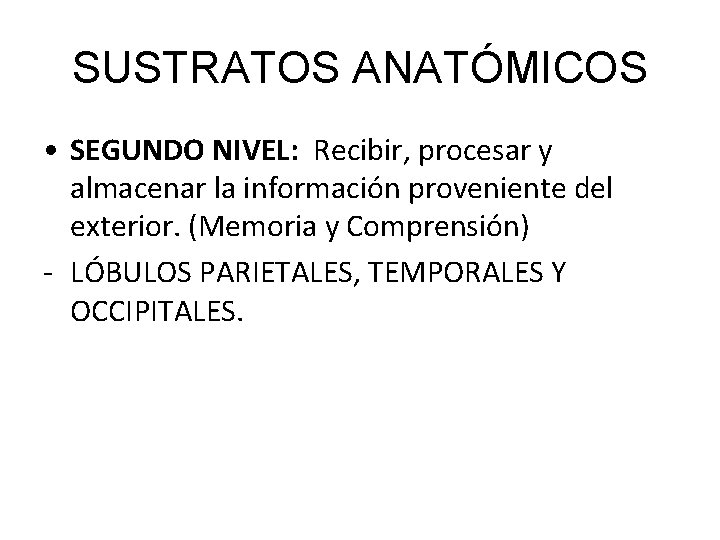 SUSTRATOS ANATÓMICOS • SEGUNDO NIVEL: Recibir, procesar y almacenar la información proveniente del exterior.