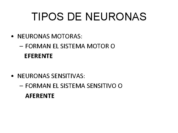 TIPOS DE NEURONAS • NEURONAS MOTORAS: – FORMAN EL SISTEMA MOTOR O EFERENTE •