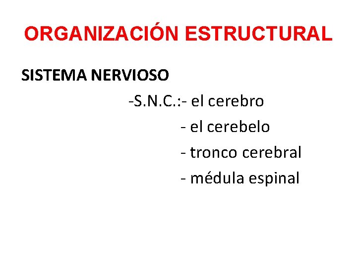 ORGANIZACIÓN ESTRUCTURAL SISTEMA NERVIOSO -S. N. C. : - el cerebro - el cerebelo