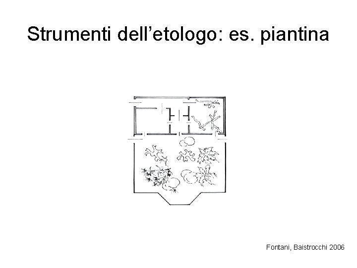 Strumenti dell’etologo: es. piantina Fontani, Baistrocchi 2006 